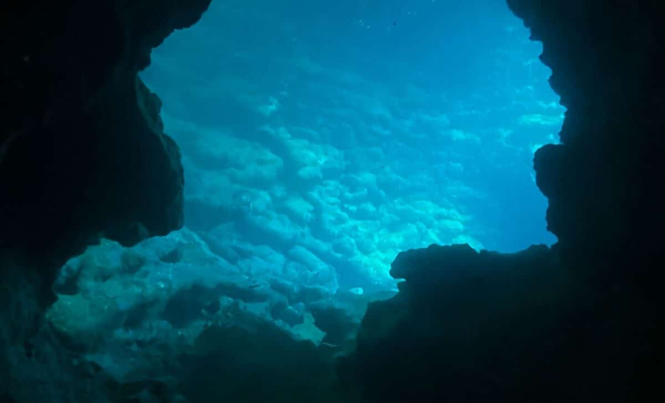 深海神秘黑卵