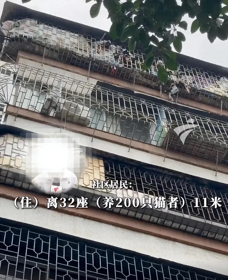 涉事楼栋现场