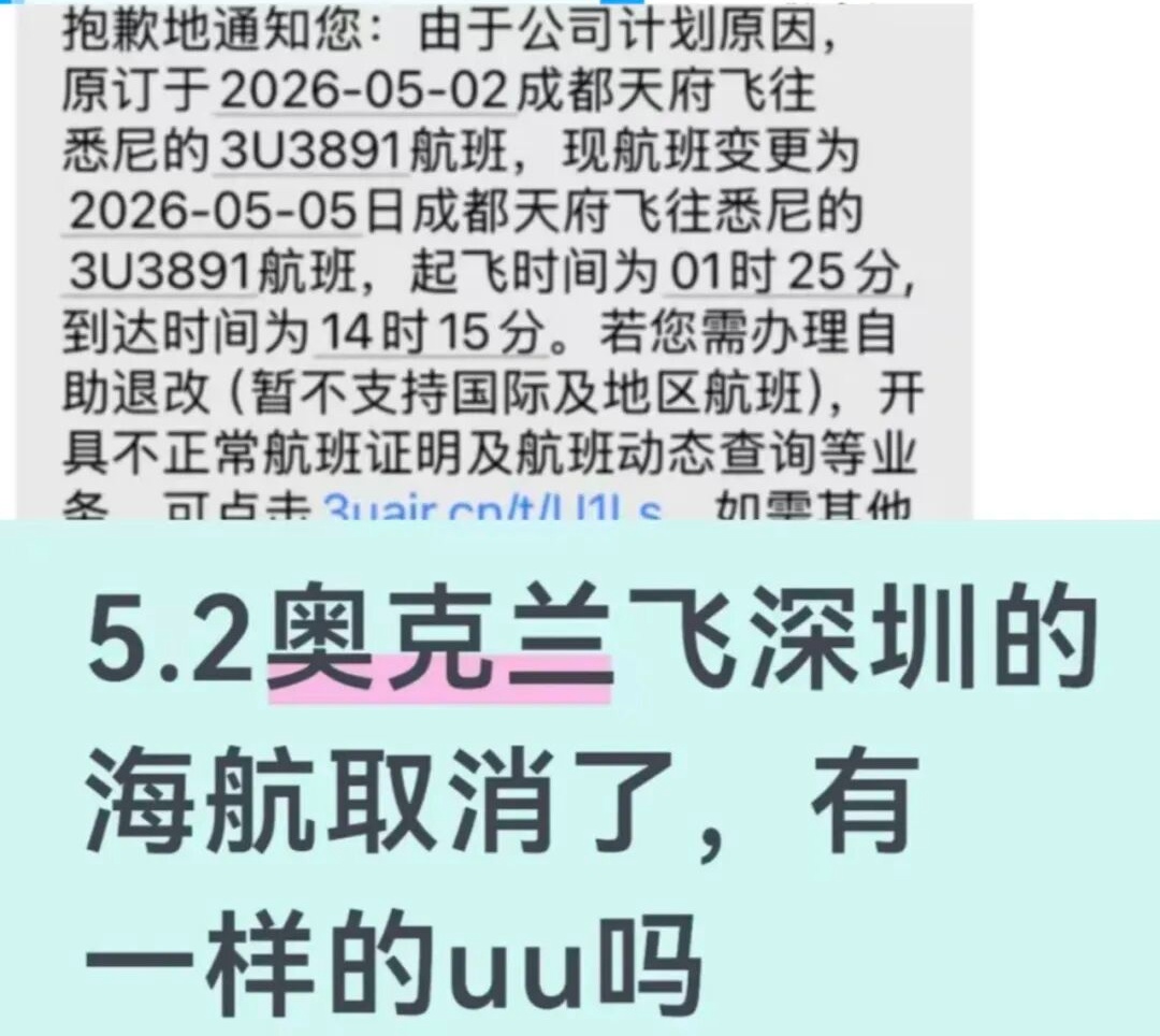 五一航班取消相关报道