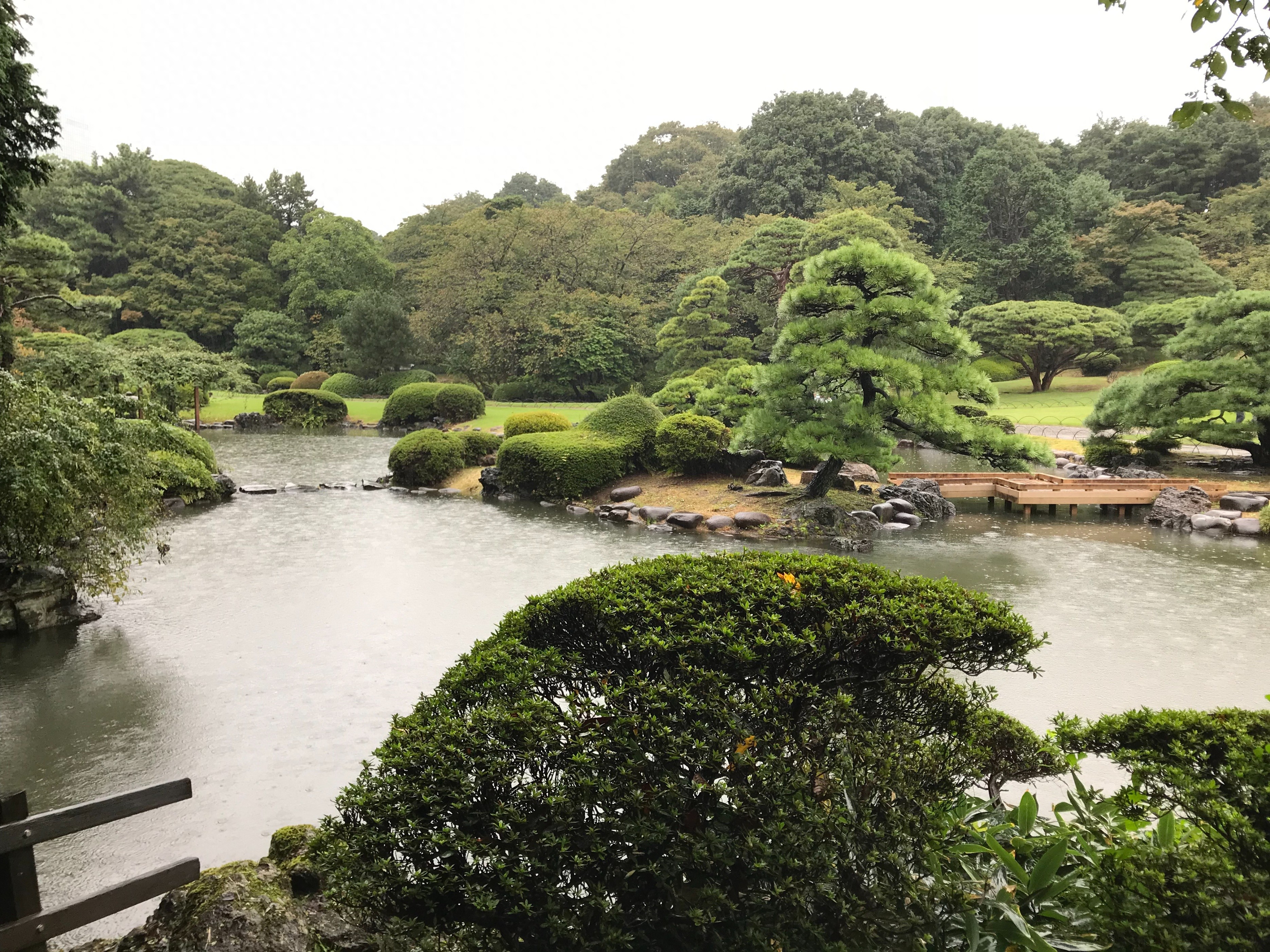 日本大学校园