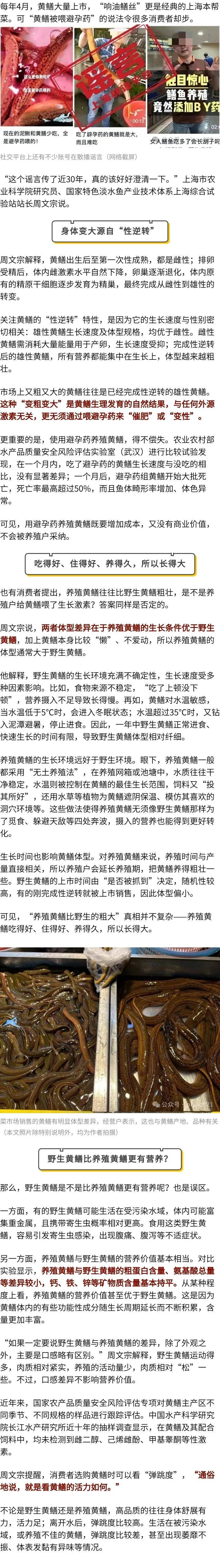 避孕药喂黄鳝骗了30年！终于有人说清楚了