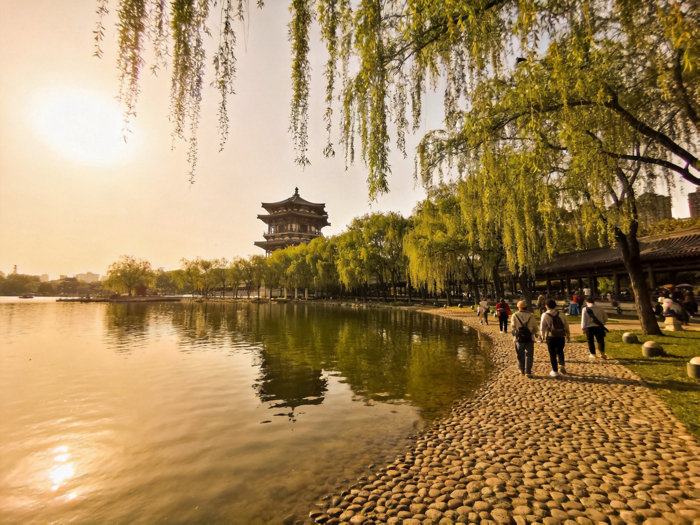 曲江池风景