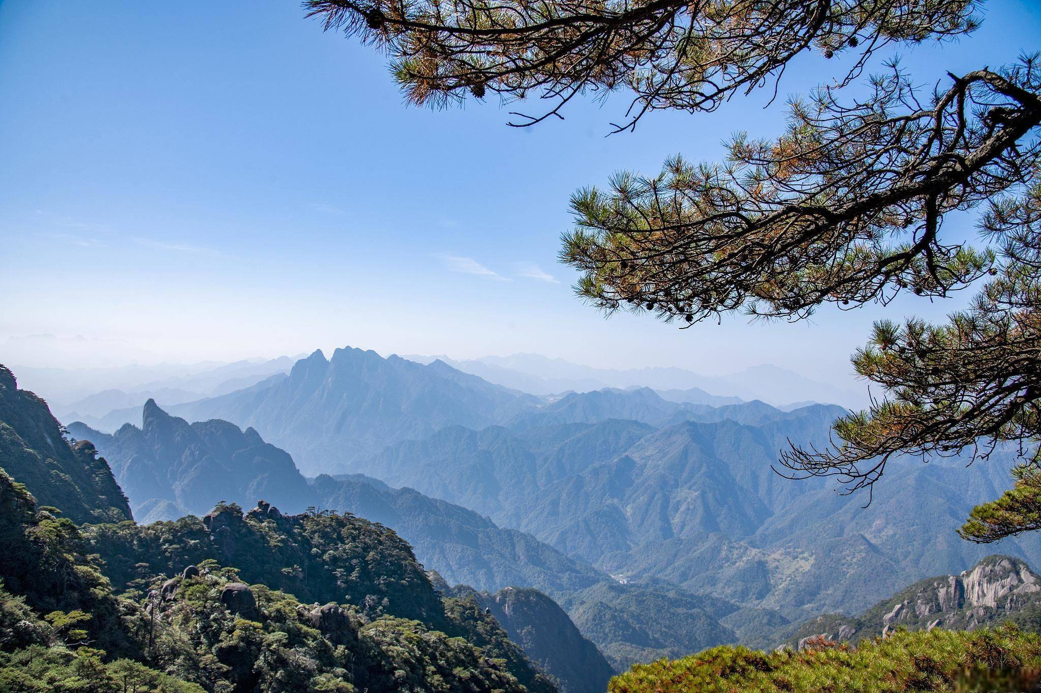 景区排队现场