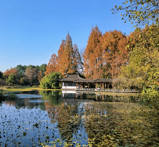 五一人山人海挤到爆!今年到底有多猛