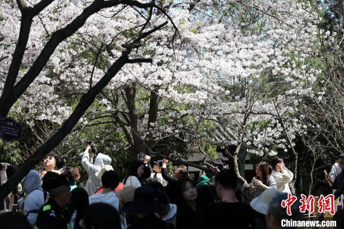 一千二百年前的长安诀别：日本僧人空海在青龙寺的惊世奇缘，一盏残灯照见大唐最后的佛光