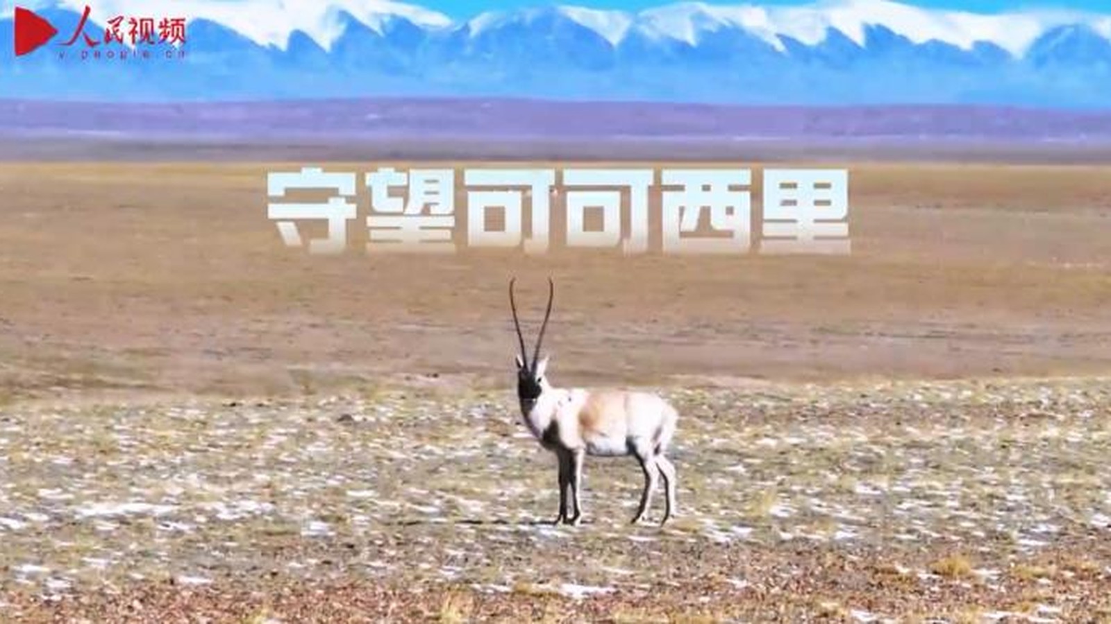 托素湖航拍