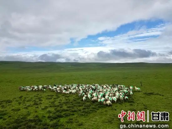 0门票！被《中国地理》评最美之一，这座草原太绝