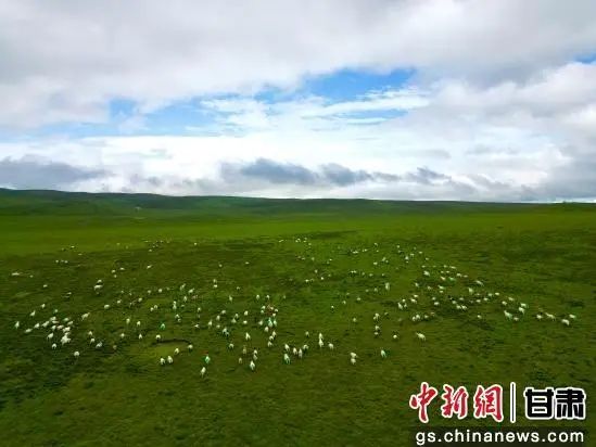 草原自驾路况