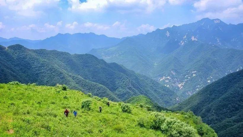 别再挤华山了，蓝田这个山顶草甸才是陕西真正的天花板