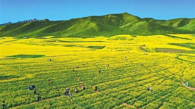 扁都口风光
