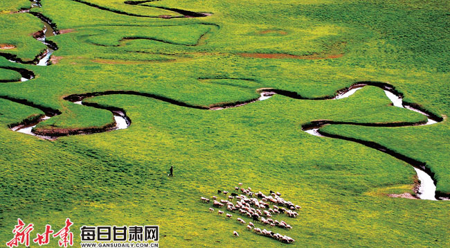 甘肃藏了片3000年牧场，99%的人从没听说过