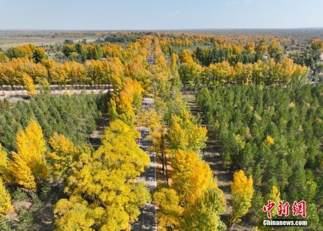 花3000去沙坡头，才发现盐池这免费的才是绝