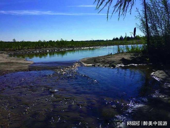 哈巴湖荒漠湿地全景