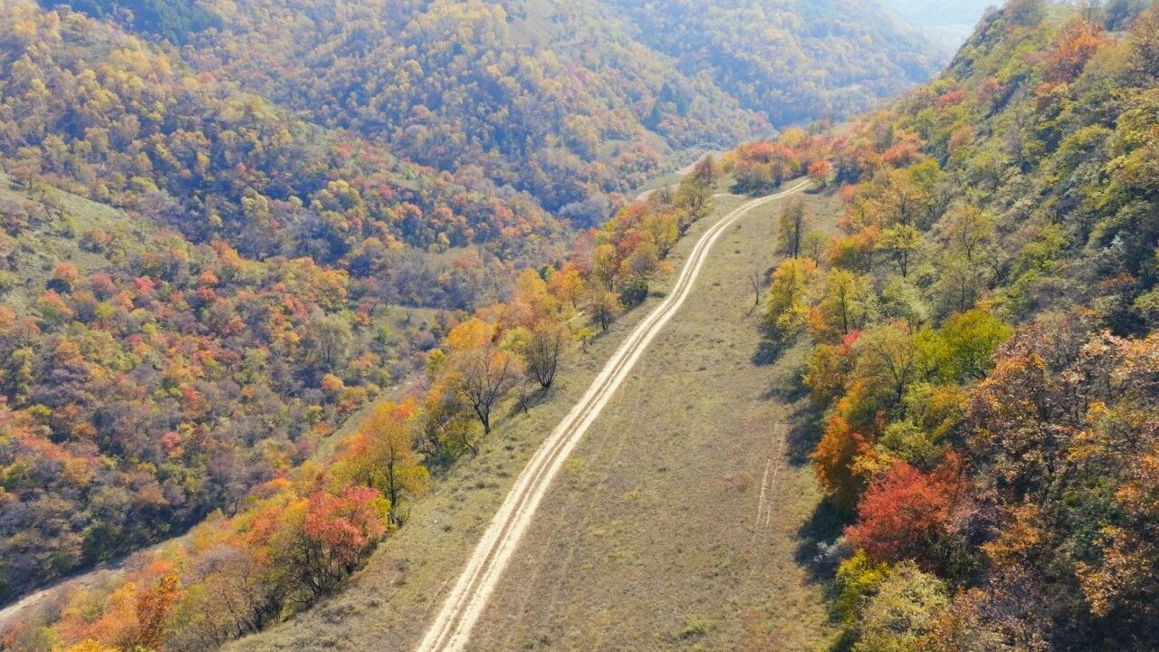 子午岭秦直道古道路